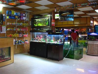 aquarium shop in koramangala