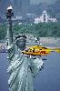Photo of DHL India Basant Vihar Delhi