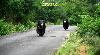 Photo of Wildlife SOS - Bannerghatta Bear Rescue Center And Rehabilitation Center Bannerghatta Bangalore