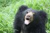 Photo of Wildlife SOS - Bannerghatta Bear Rescue Center And Rehabilitation Center Bannerghatta Bangalore