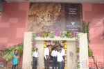 నఠేల్లా పురసవాక్కమ్ Chennai యొక్క ఫోటో 