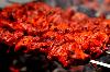 Photo of Arza Bibi Kebab Khan Market Delhi