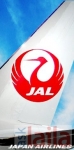 Photo of Japan Airlines Palam Delhi