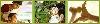 వీ.సి.సి. ఆయుర్వేదా ఎండ్ పఁచకర్మా క్లినిక్ నోయిడా సేక్టర్‌ 52 Noida యొక్క ఫోటో 
