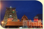 శైనేస్ రేస్ట్రాంట్ టీ.నగర్‌ Chennai యొక్క ఫోటో 