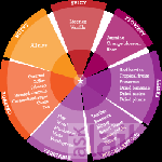 Photo of Chocolateria San Churro Greater Kailash Part 2 Delhi