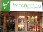 Photo of Ferns N Petals Sainik Farm Delhi